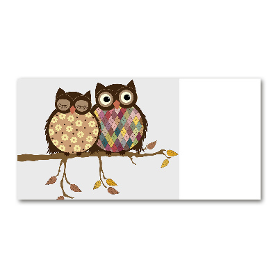 Glass picture print Two owls on the branches