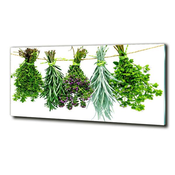 Wall art on glass Herbs on a string