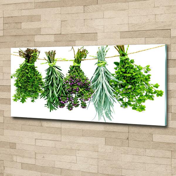 Wall art on glass Herbs on a string