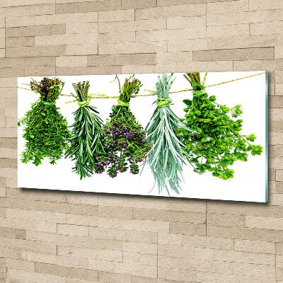 Wall art on glass Herbs on a string