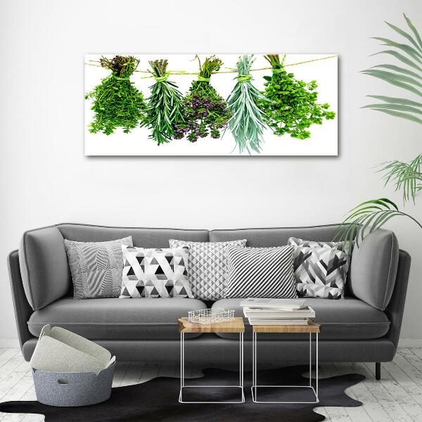 Wall art on glass Herbs on a string