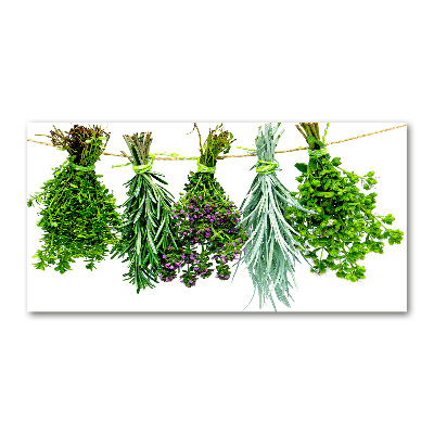 Wall art on glass Herbs on a string