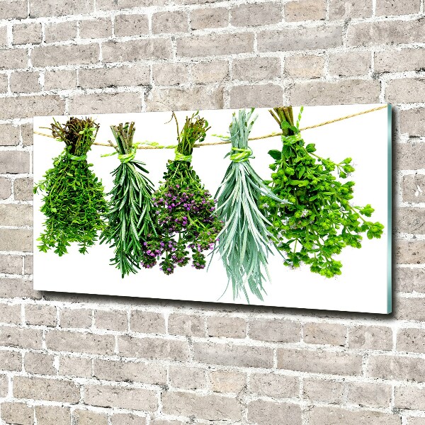 Wall art on glass Herbs on a string