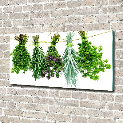 Wall art on glass Herbs on a string