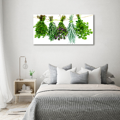 Wall art on glass Herbs on a string