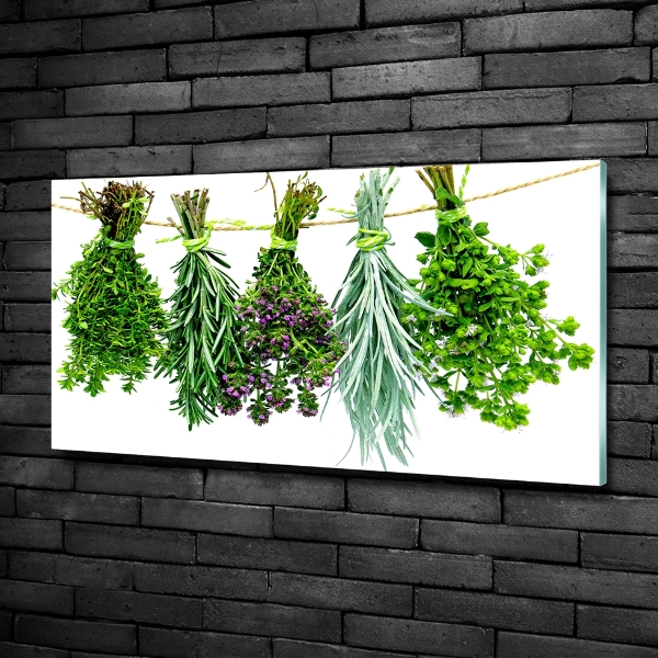 Wall art on glass Herbs on a string