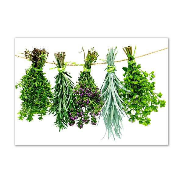 Wall art on glass Herbs on a string