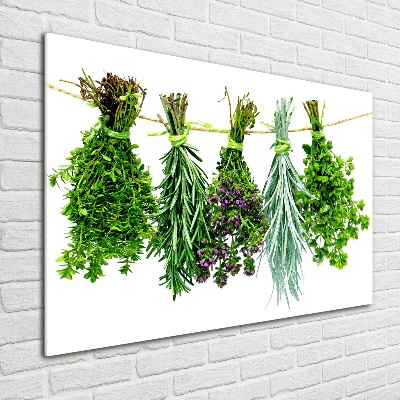 Wall art on glass Herbs on a string