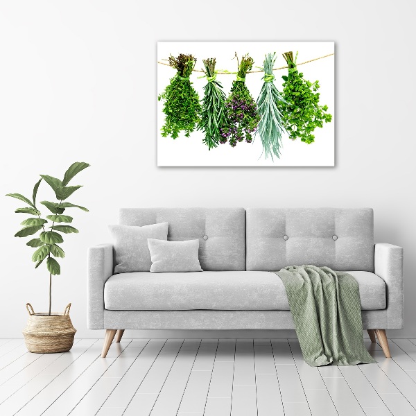 Wall art on glass Herbs on a string