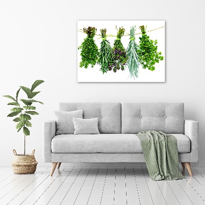 Wall art on glass Herbs on a string