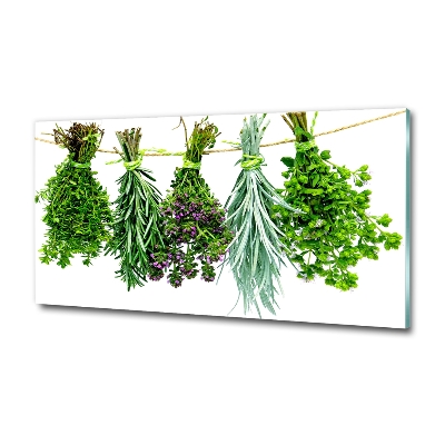 Wall art on glass Herbs on a string