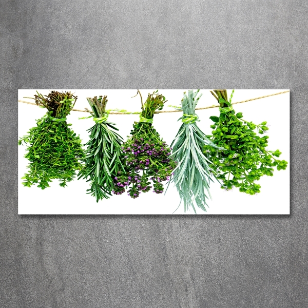 Wall art on glass Herbs on a string