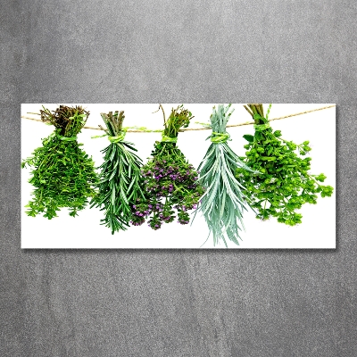 Wall art on glass Herbs on a string