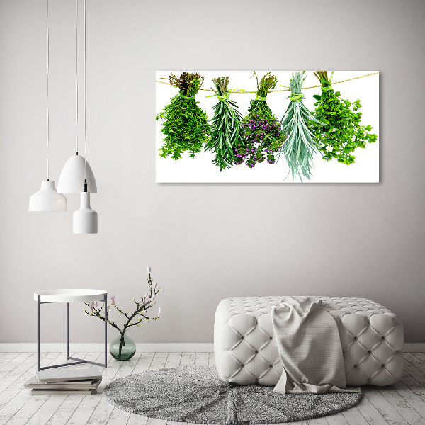 Wall art on glass Herbs on a string