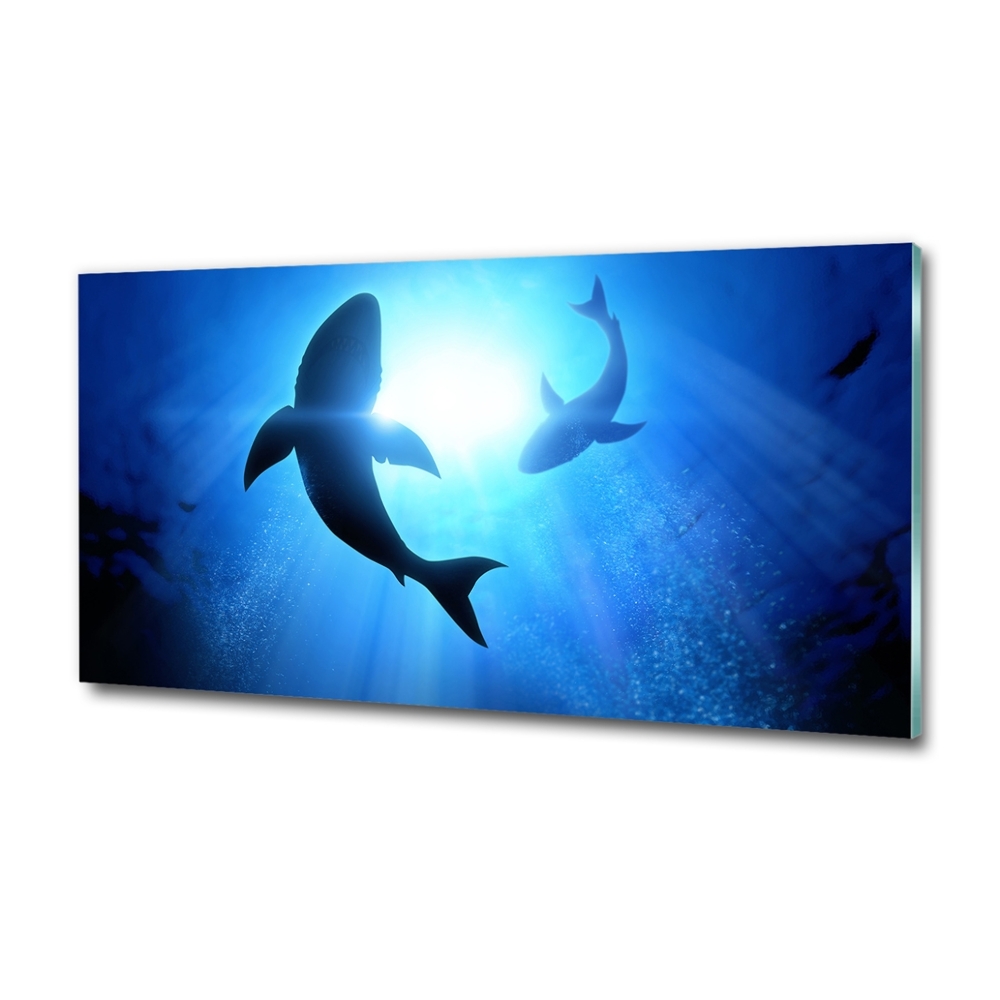 Wall art on glass Two sharks