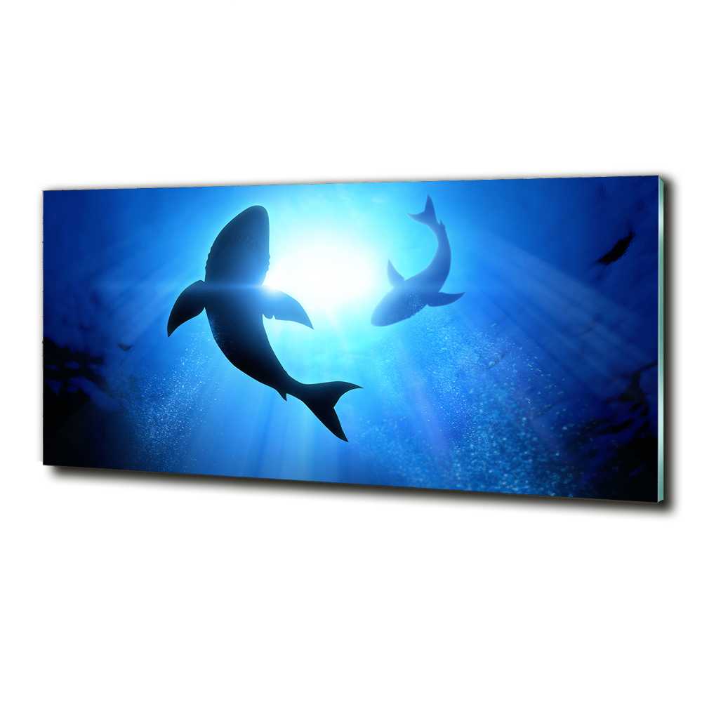 Wall art on glass Two sharks