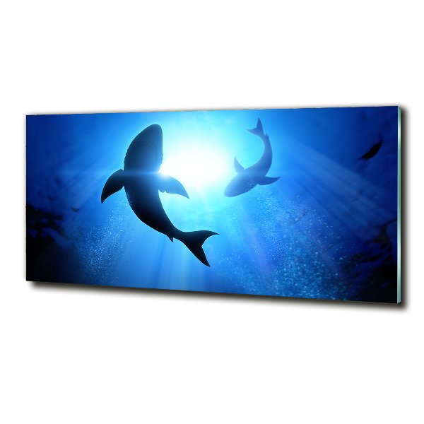 Wall art on glass Two sharks