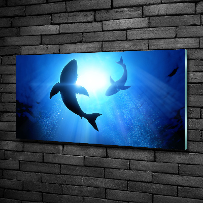 Wall art on glass Two sharks