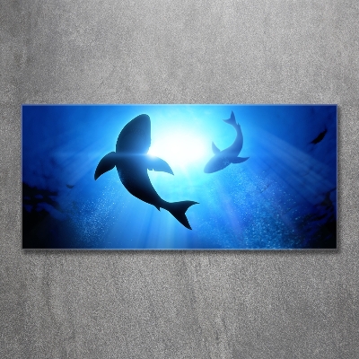 Wall art on glass Two sharks