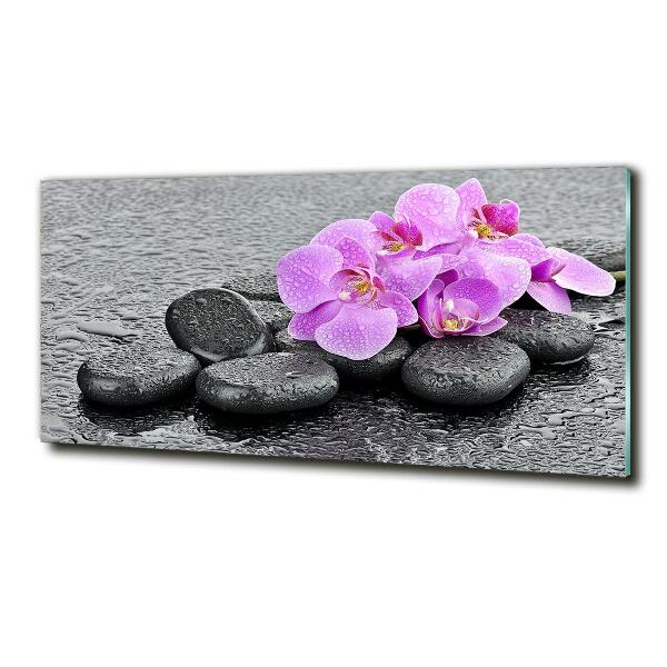 Wall art on glass Stones orchids