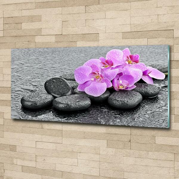 Wall art on glass Stones orchids