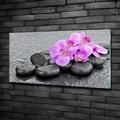 Wall art on glass Stones orchids