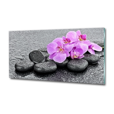 Wall art on glass Stones orchids