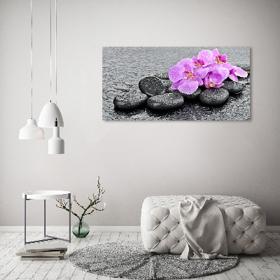 Wall art on glass Stones orchids