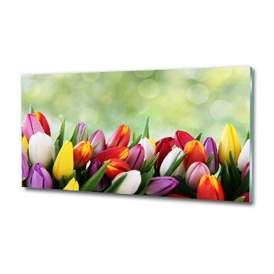 Wall art on glass Colorful tulips