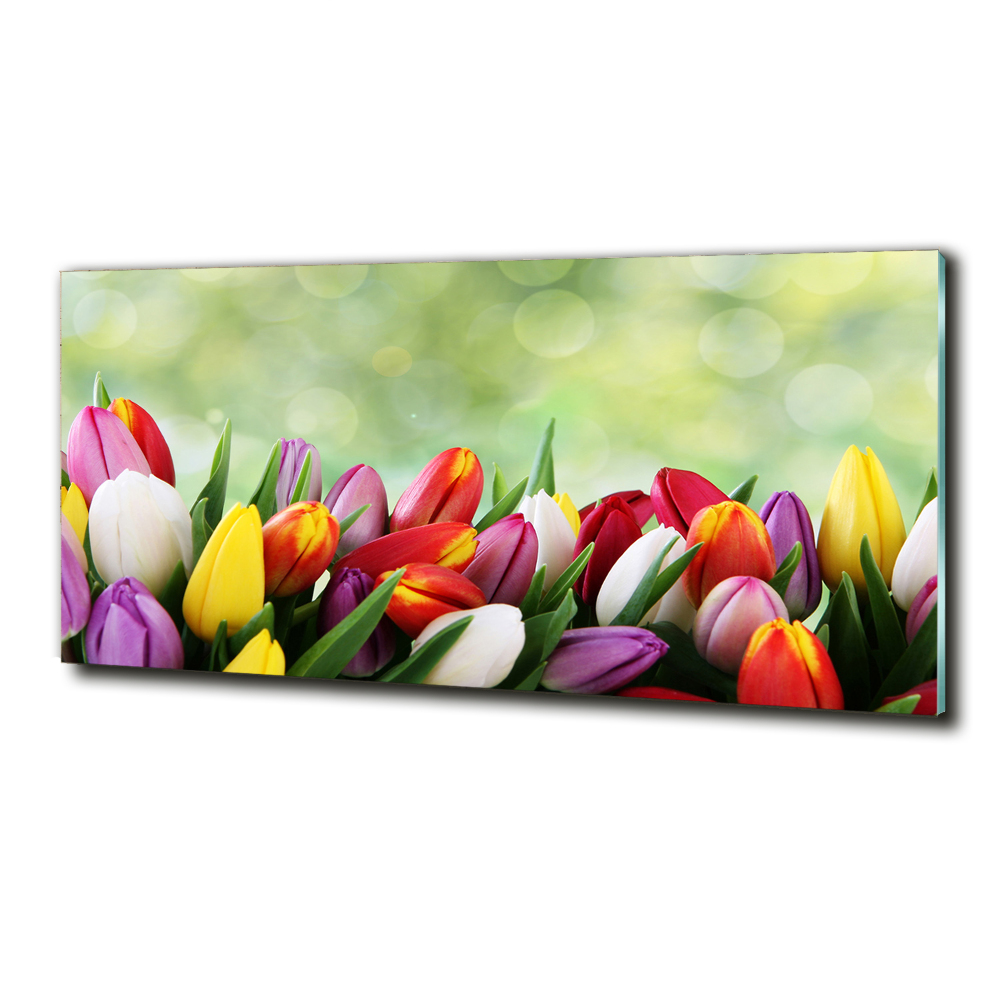 Wall art on glass Colorful tulips