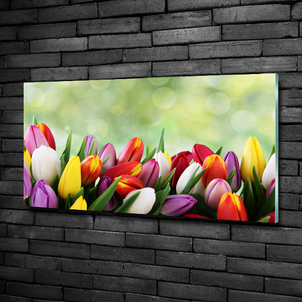 Wall art on glass Colorful tulips