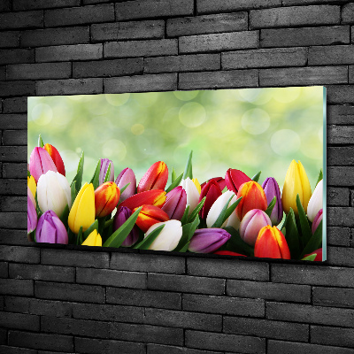 Wall art on glass Colorful tulips