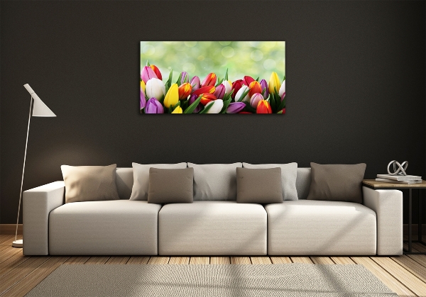 Wall art on glass Colorful tulips