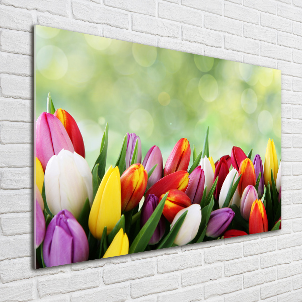 Wall art on glass Colorful tulips