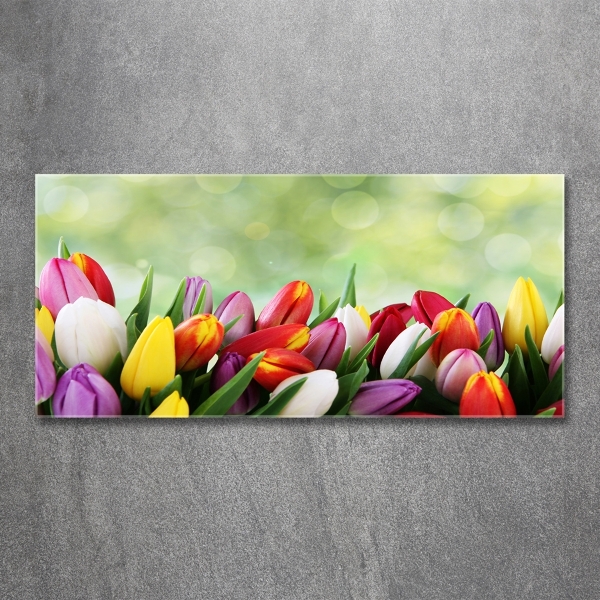 Wall art on glass Colorful tulips