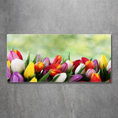 Wall art on glass Colorful tulips