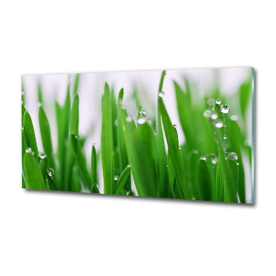 Glass wall art Blade of grass