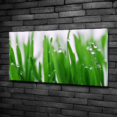 Glass wall art Blade of grass