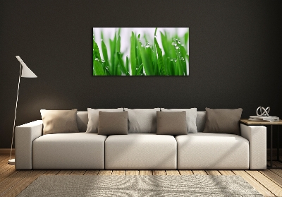 Glass wall art Blade of grass