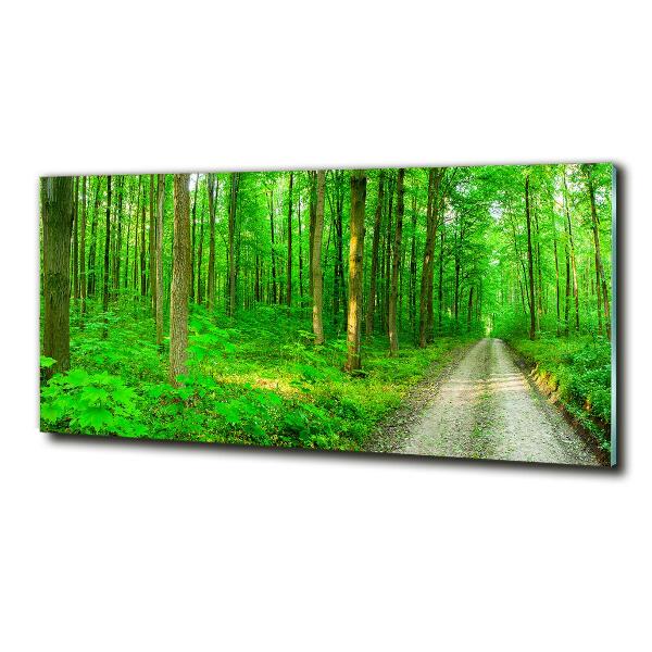 Glass wall art Trees in the forest