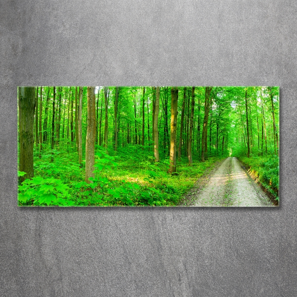 Glass wall art Trees in the forest