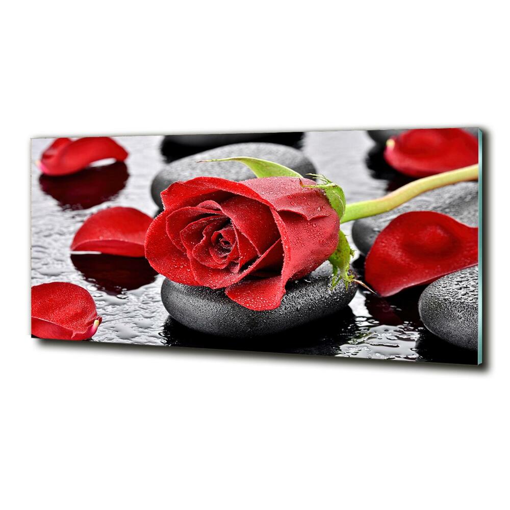 Glass wall art Red rose