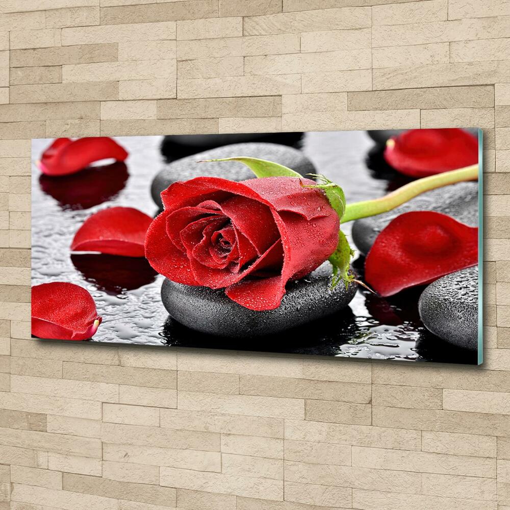 Glass wall art Red rose