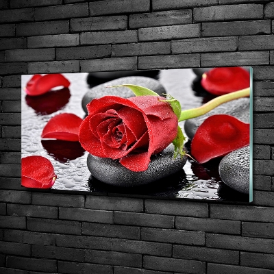 Glass wall art Red rose