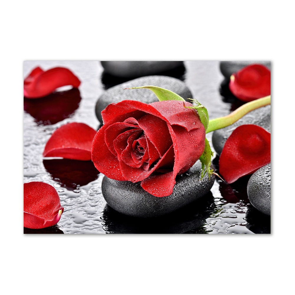 Glass wall art Red rose