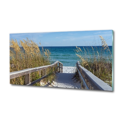 Photo printed on glass Coastal dunes