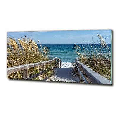 Photo printed on glass Coastal dunes