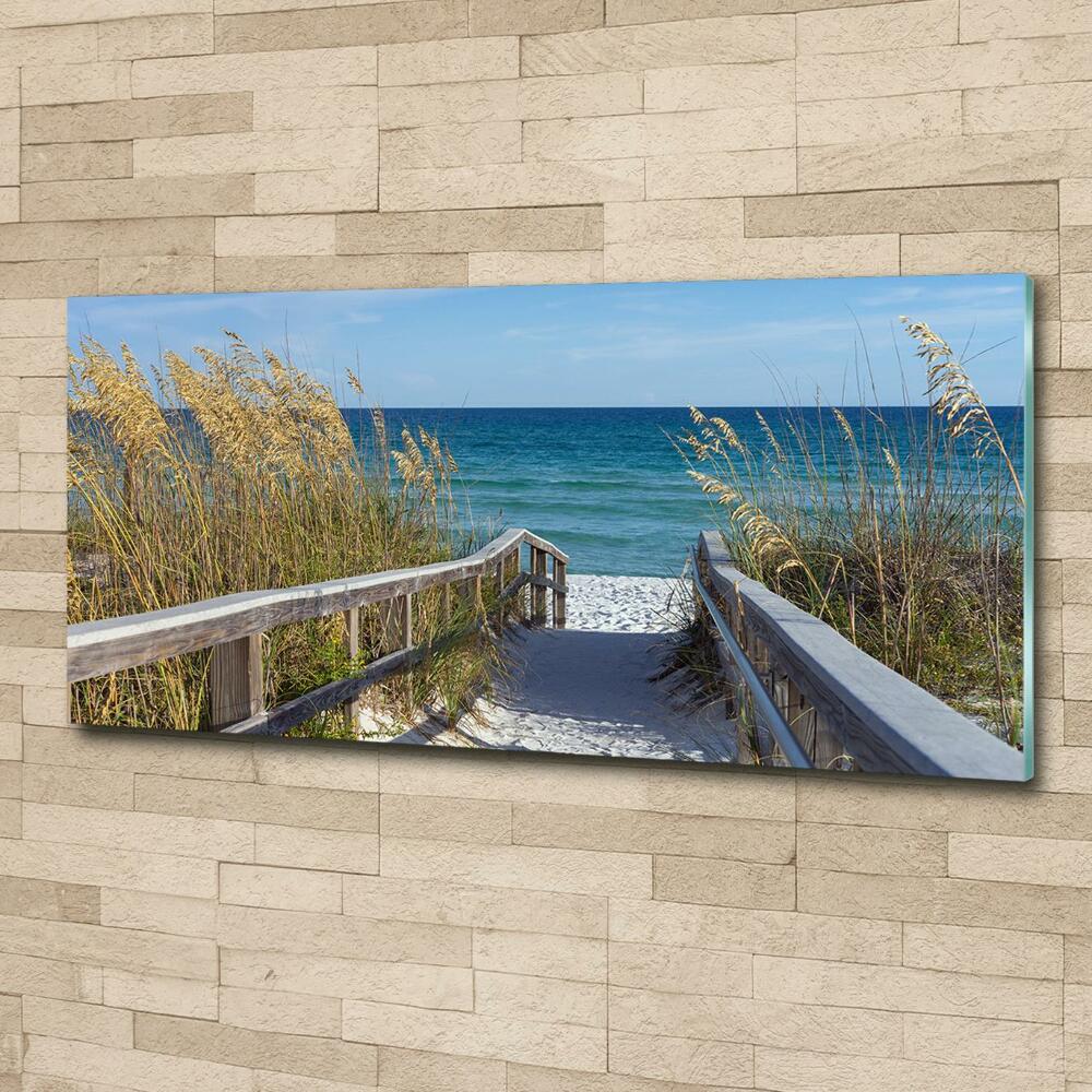 Photo printed on glass Coastal dunes