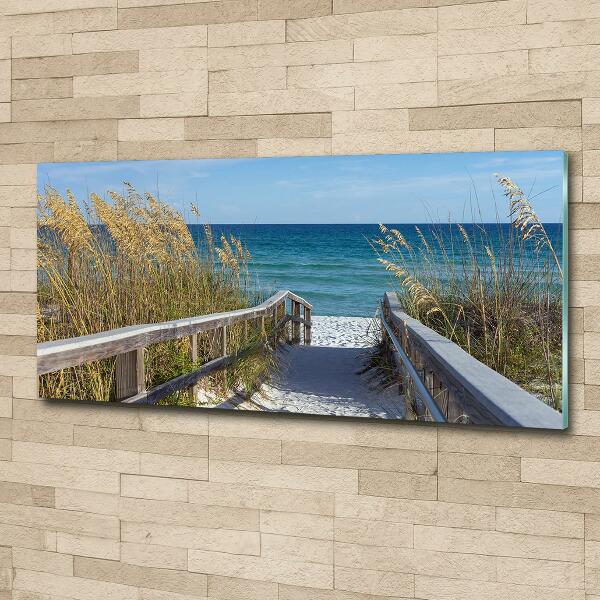 Photo printed on glass Coastal dunes