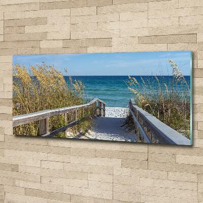 Photo printed on glass Coastal dunes